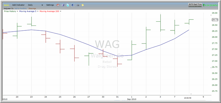 WAG Chart